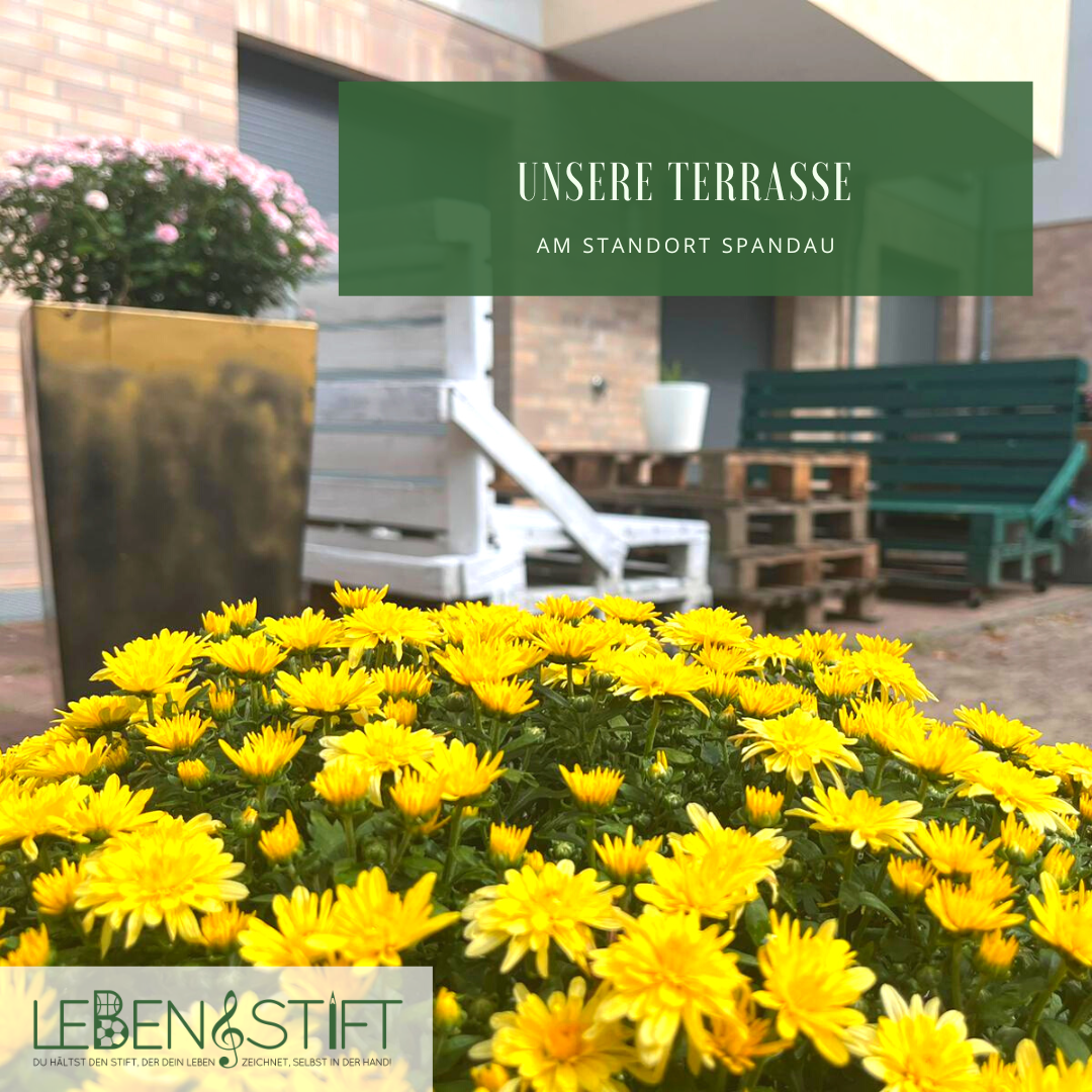 Ein Blumenmeer dank unserer Wohngruppen: Ein herzliches Dankeschön für die Gartengestaltung